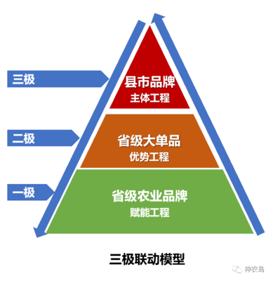 農產品區域公用品牌建設的三大紀律八項注意