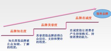 品牌管理 構建持久競爭力的關鍵——基于余偉萍教授的理論解析